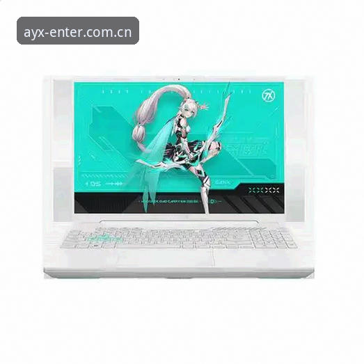 AYX体育官网实用指南：从安装到使用的全流程必备知识